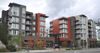 2441 76th Ave SE photo